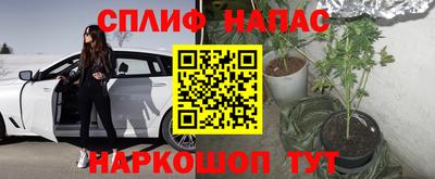 мяу мяу мука Лесосибирск